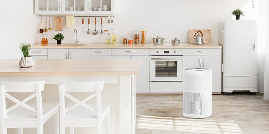Dust, Pollen, and Allergens: Which Air Purifier is Right for Your Home?